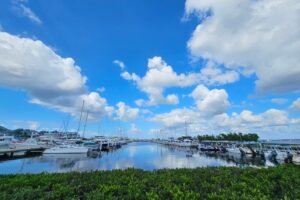 View of the harbor in Punta Gorda_photo by Cheryl Rodewig