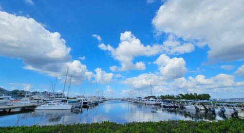 View of the harbor in Punta Gorda_photo by Cheryl Rodewig